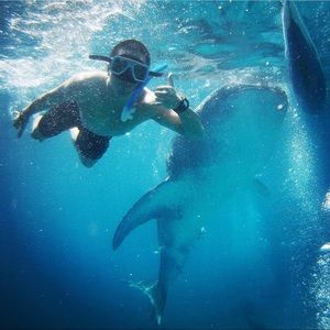 Meet your Posher, Julius bryan